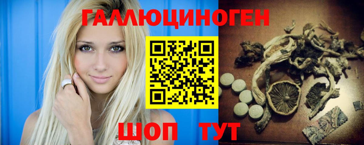 Псилоцибиновые грибы Psilocybine cubensis Скопин